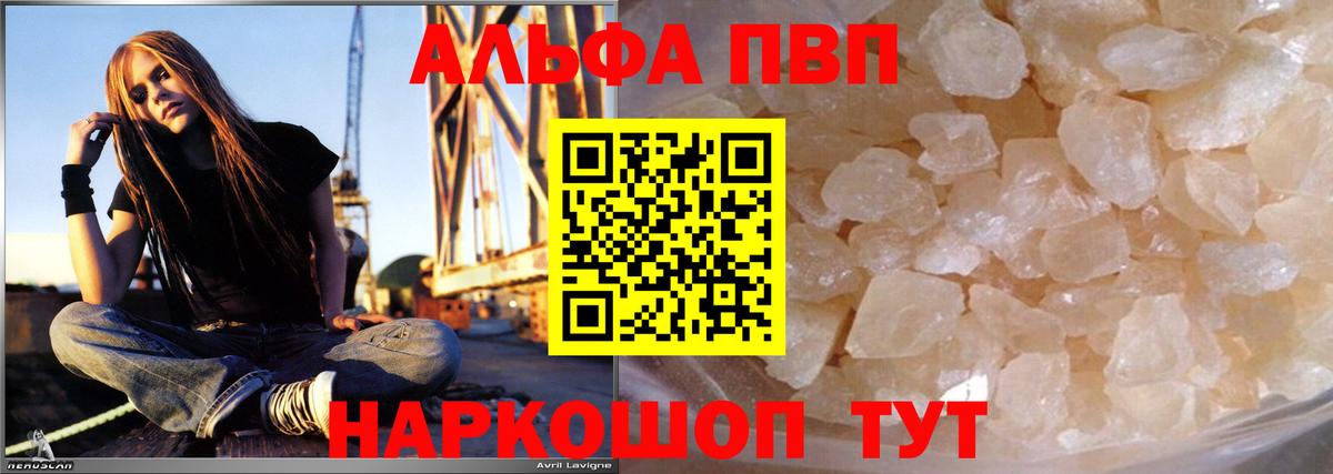 A PVP СК КРИС Волгодонск