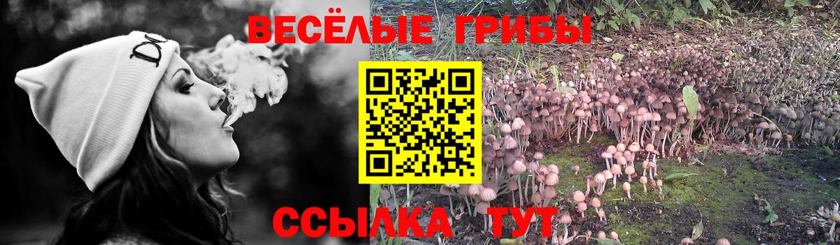 Псилоцибиновые грибы мухоморы Волгодонск