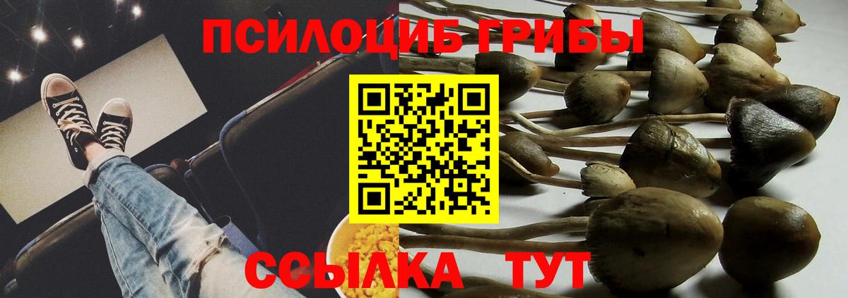 где продают наркотики  Вход с VPN  Галлюциногенные грибы Magic Shrooms  Волгодонск  Псилоцибиновые грибы Magic Shrooms 